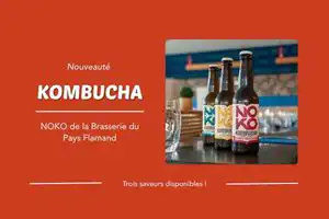 Nouveaux kombuchas NOKO restaurant Fauve